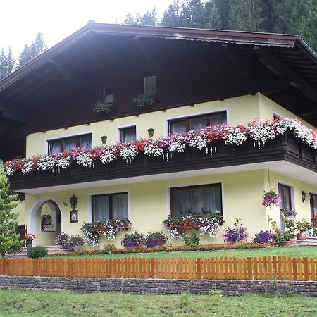 Schwarzenbacher Lungotz Ngoại thất bức ảnh