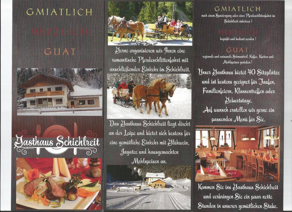 Schwarzenbacher Lungotz Phòng bức ảnh