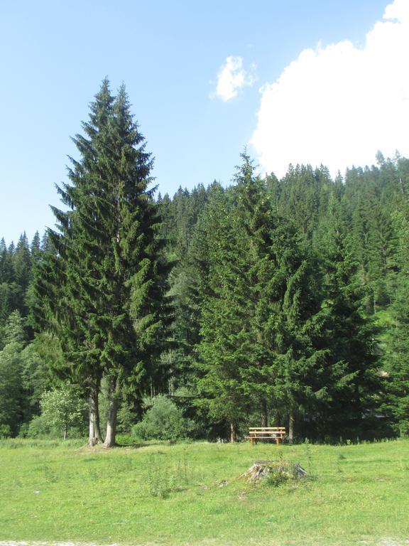 Schwarzenbacher Lungotz Phòng bức ảnh