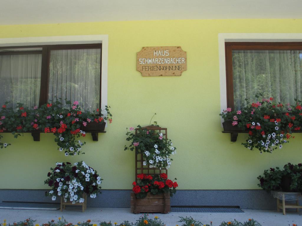 Schwarzenbacher Lungotz Phòng bức ảnh