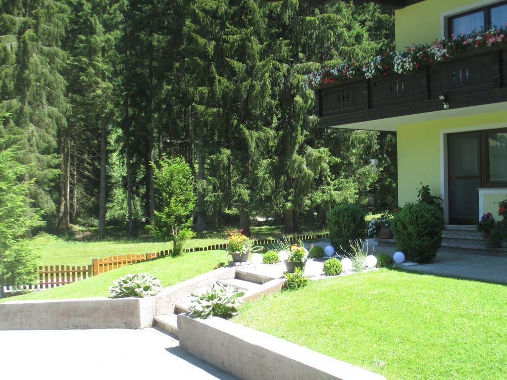 Schwarzenbacher Lungotz Phòng bức ảnh